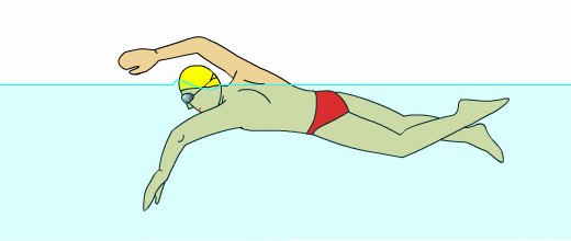 4种游泳姿势口诀大全，对你提高游泳技术有帮助